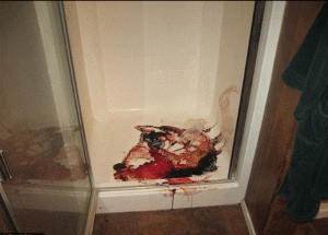 Jodi Arias crime scene 